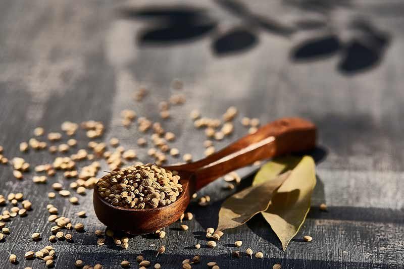 medicina tradicional china