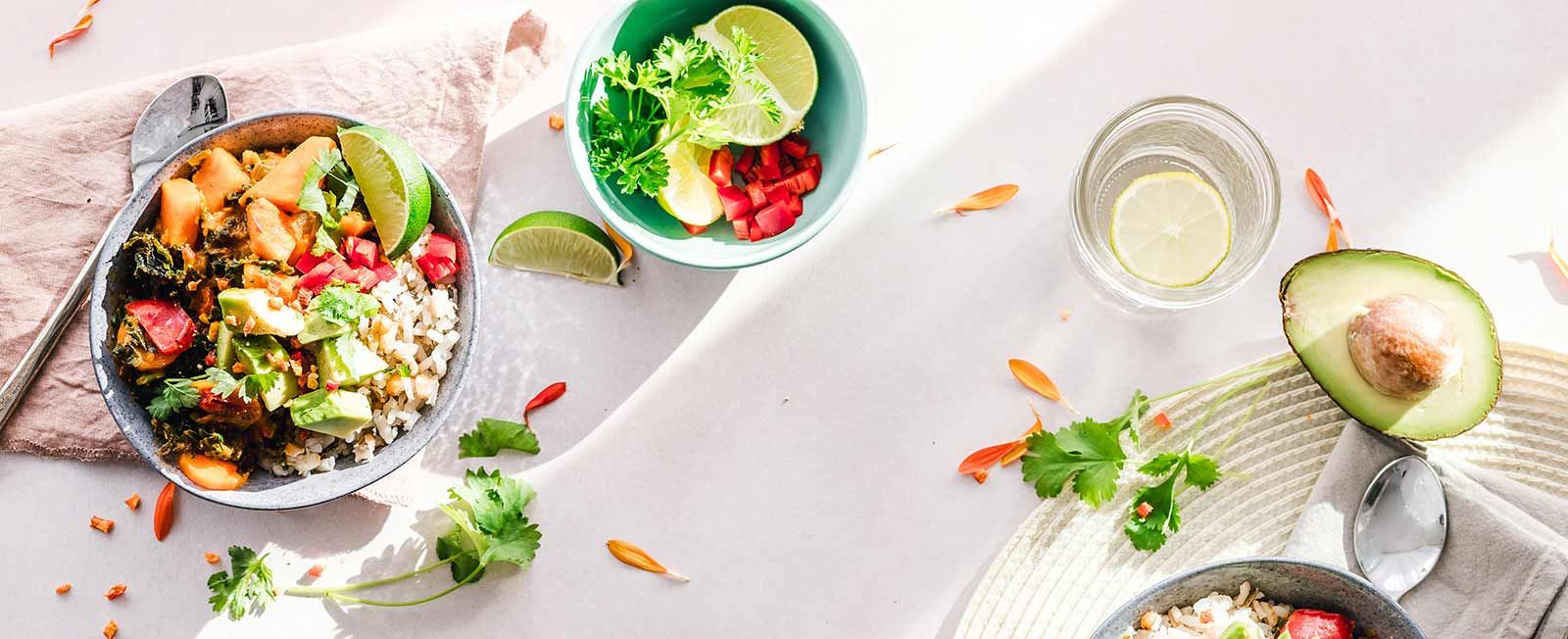 Terapia nutricional